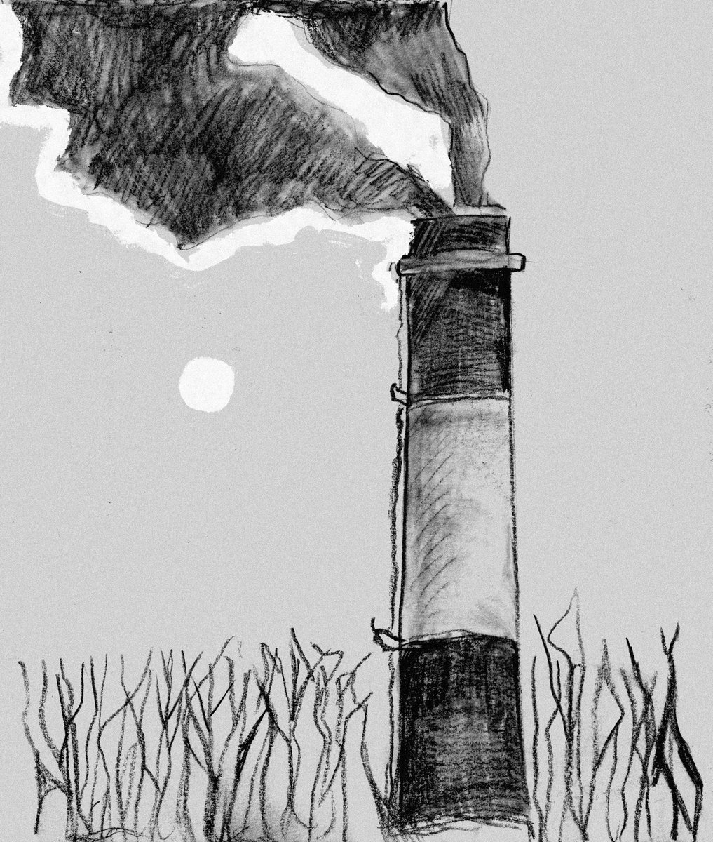 orthodox spidorak tweet media