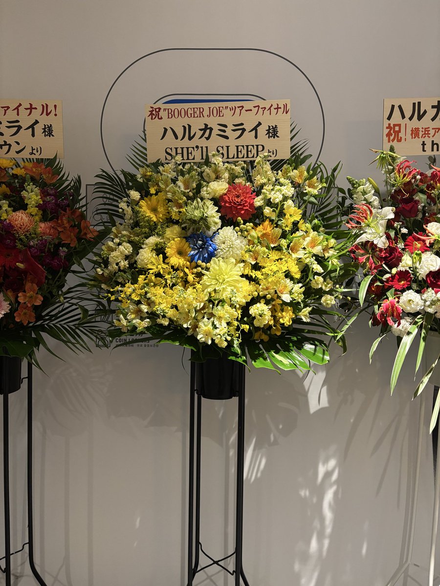 Autumn__Olive's tweet photo. また膝抱えた https://t.co/g1zVemB17d