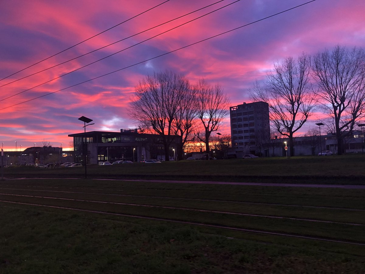 G2 ΛiwZz tweet media