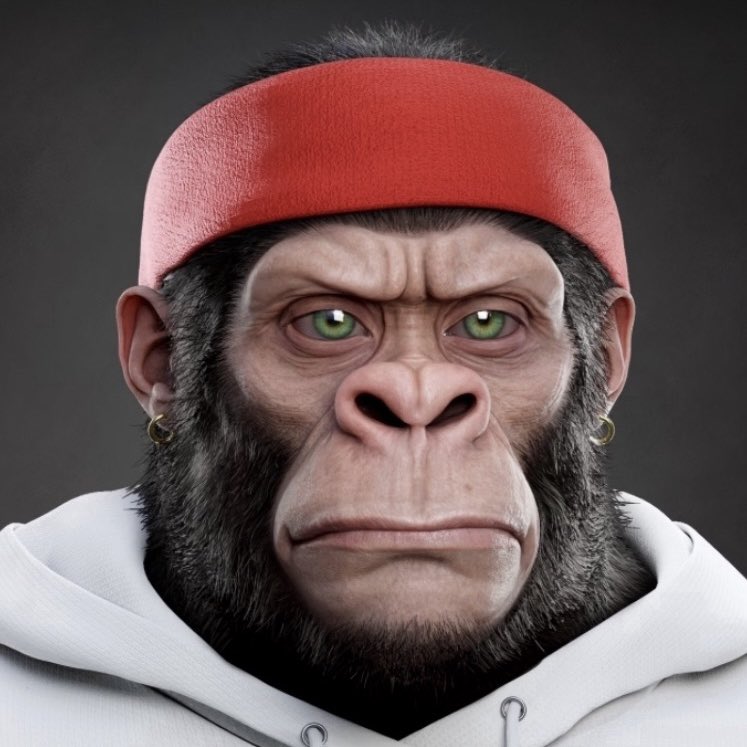 PackePilsner tweet media