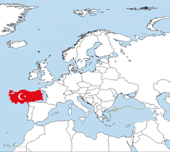 P1my 🜲 tweet media