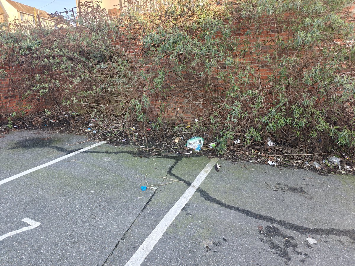 ColCivicSociety's tweet photo. #SeenReportedSorted

A big thank you to the Greening Team at #Colchester City Council who've done a brilliant job in tidying up the out of control weed growth in the  council owned Osborne Street Car park after we flagged it as an issue.

#CivicPride
#SmallThingsBigDifference https://t.co/FIMbLXkbtq