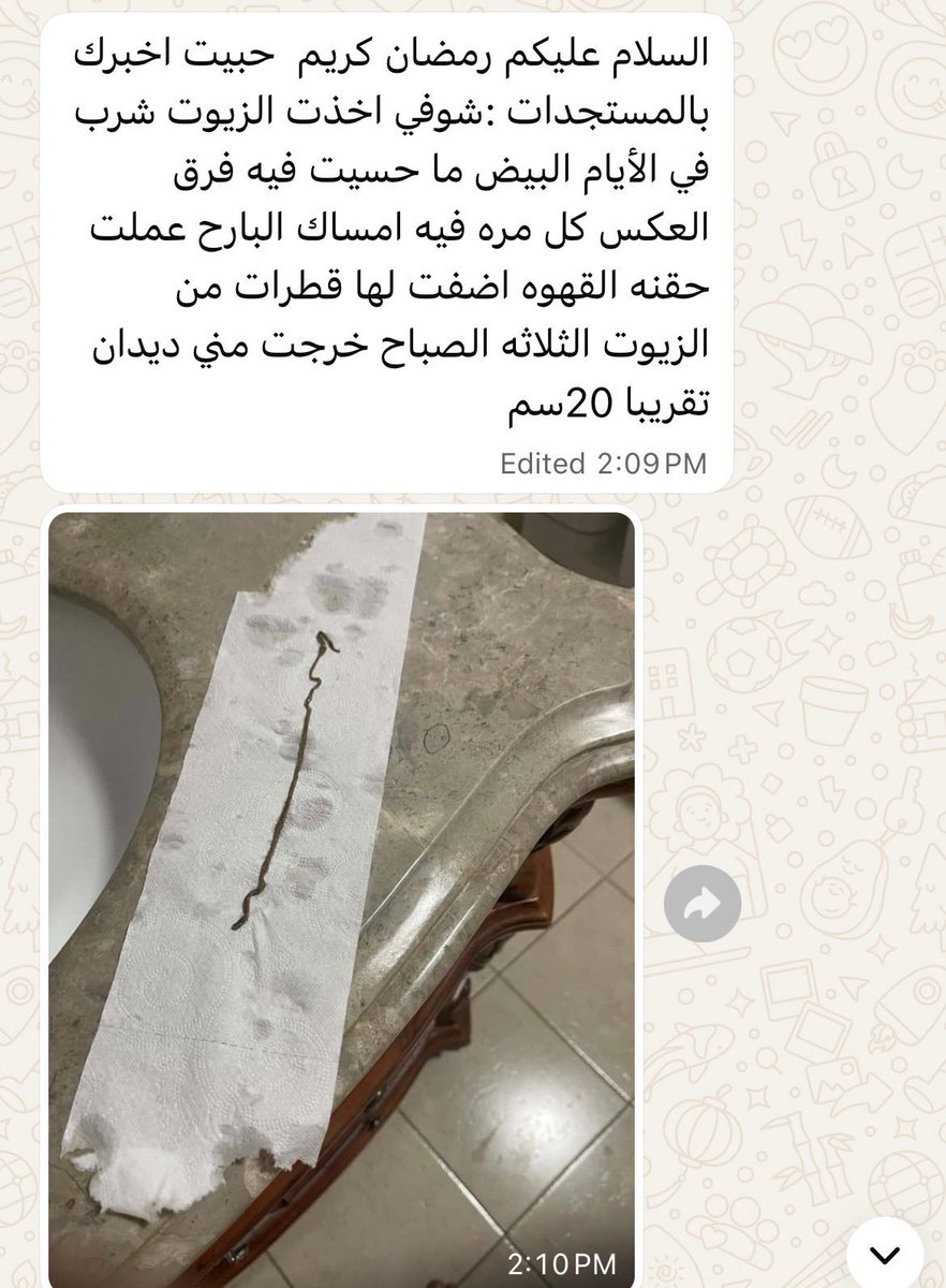 Rand Hamid الصفحة الرسمية tweet media