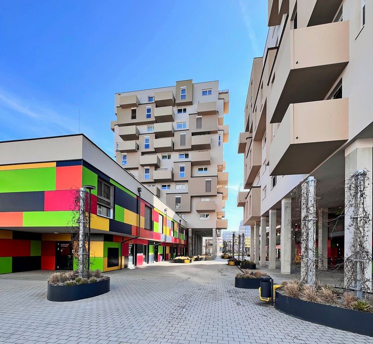 Lukas | 🌐 tweet media