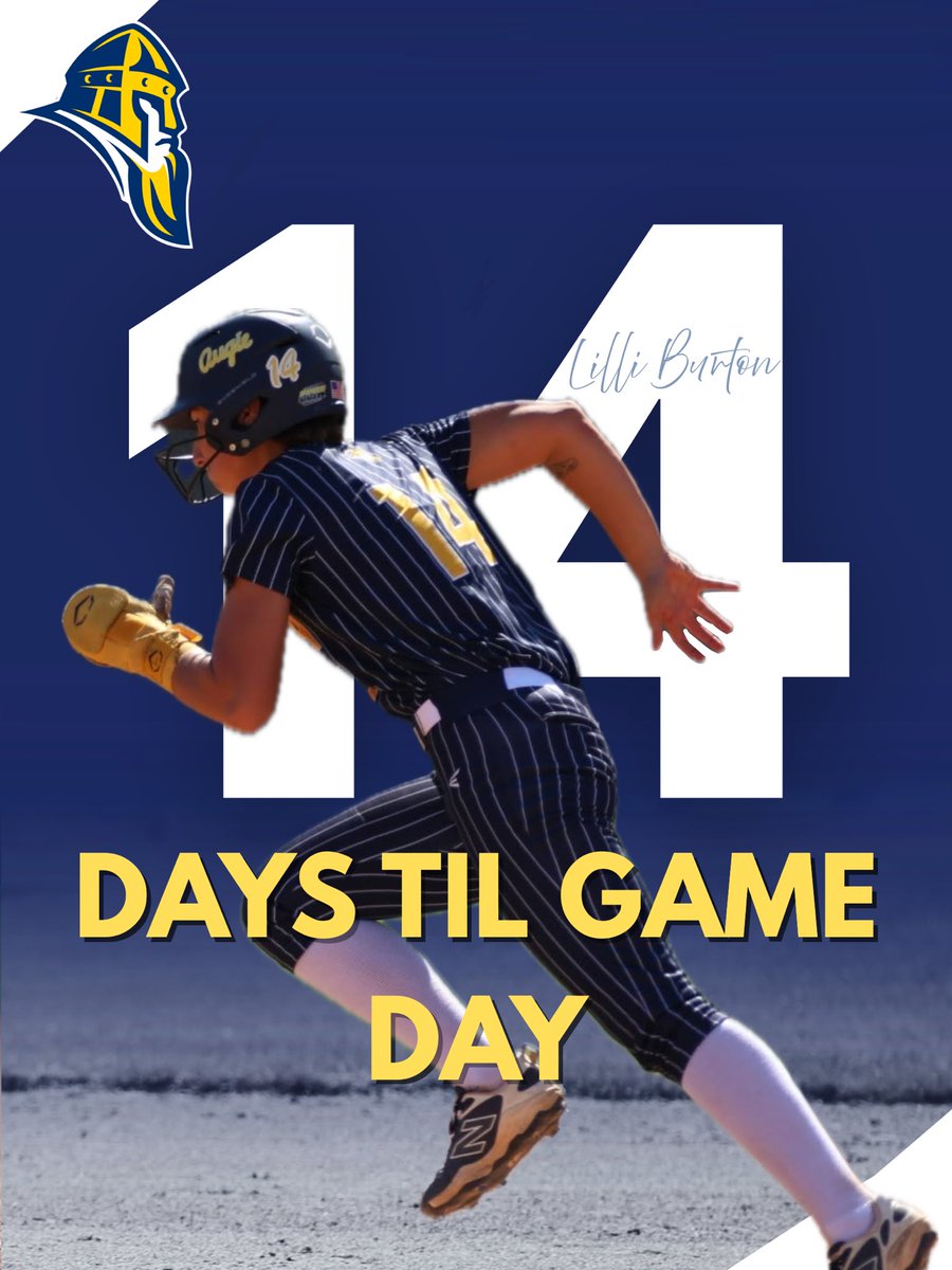 Augustana Softball tweet media