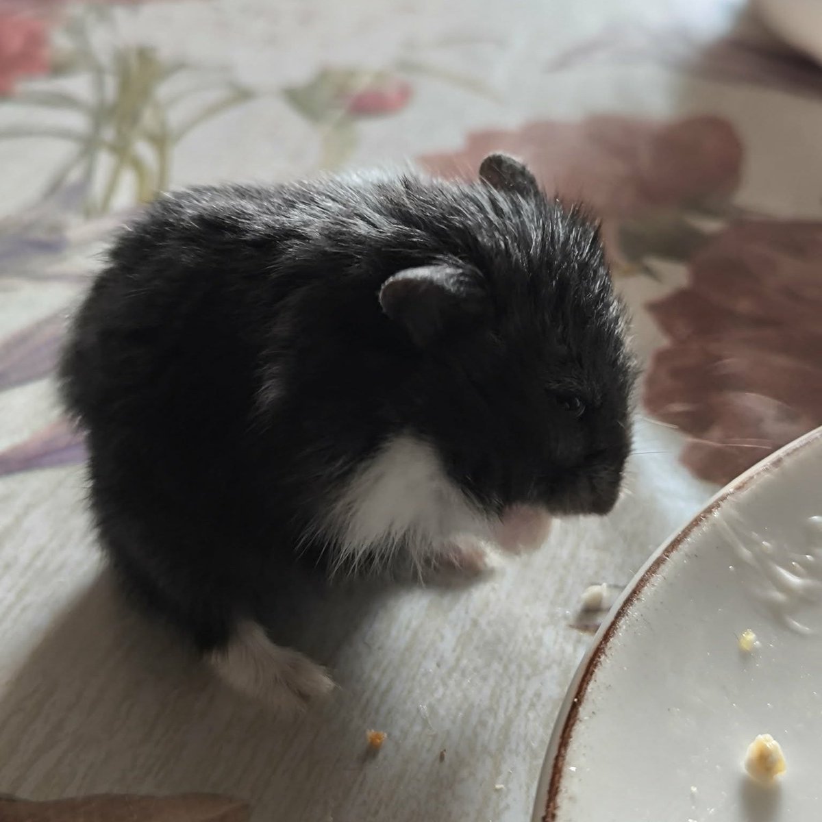 TheQutsider (@tqutsider) on Twitter photo 