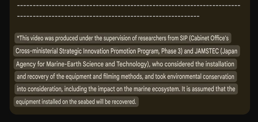 CoringaRB tweet media