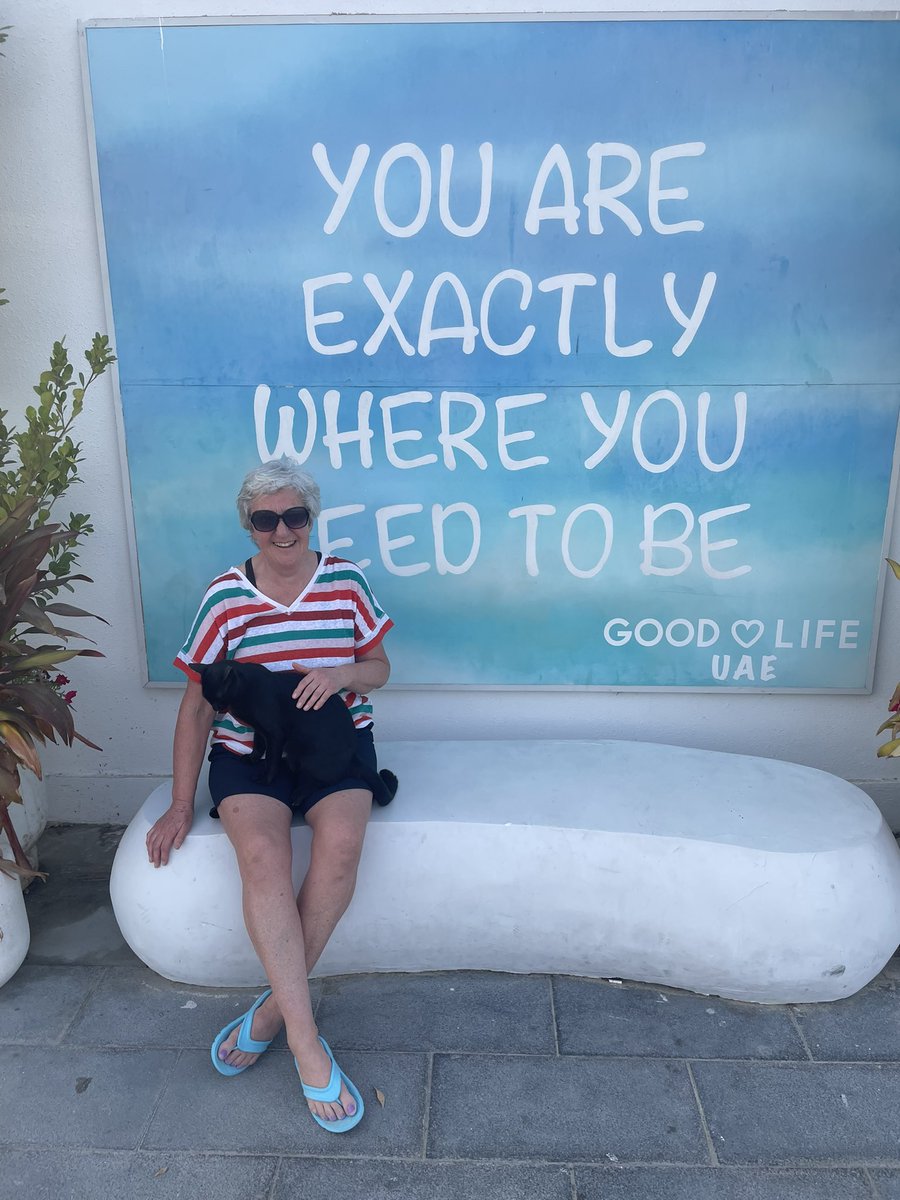 Pattee2012's tweet photo. Made a friend at Kite Beach. Obviously we were exactly where we needed to be. https://t.co/wJ0vKJyea3
