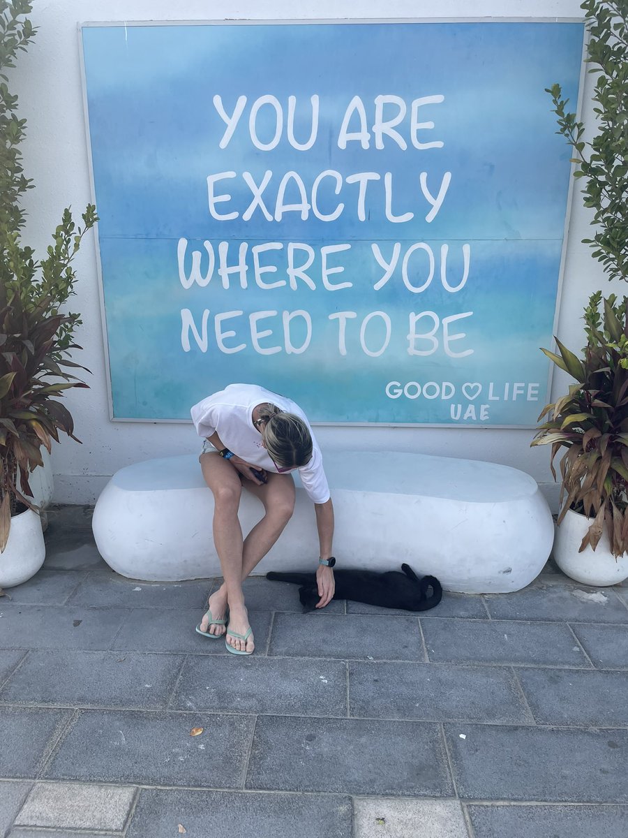 Pattee2012's tweet photo. Made a friend at Kite Beach. Obviously we were exactly where we needed to be. https://t.co/wJ0vKJyea3