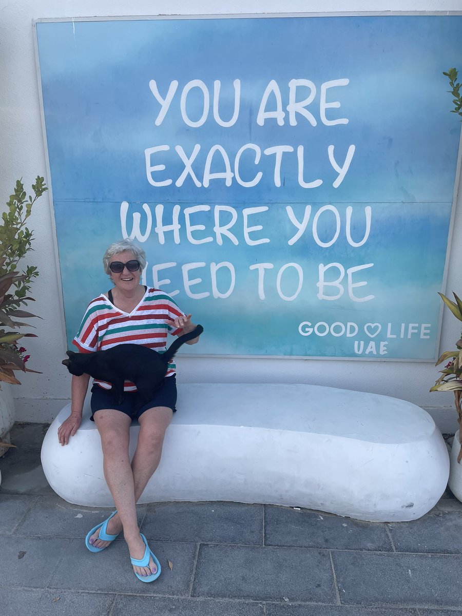 Pattee2012's tweet photo. Made a friend at Kite Beach. Obviously we were exactly where we needed to be. https://t.co/wJ0vKJyea3