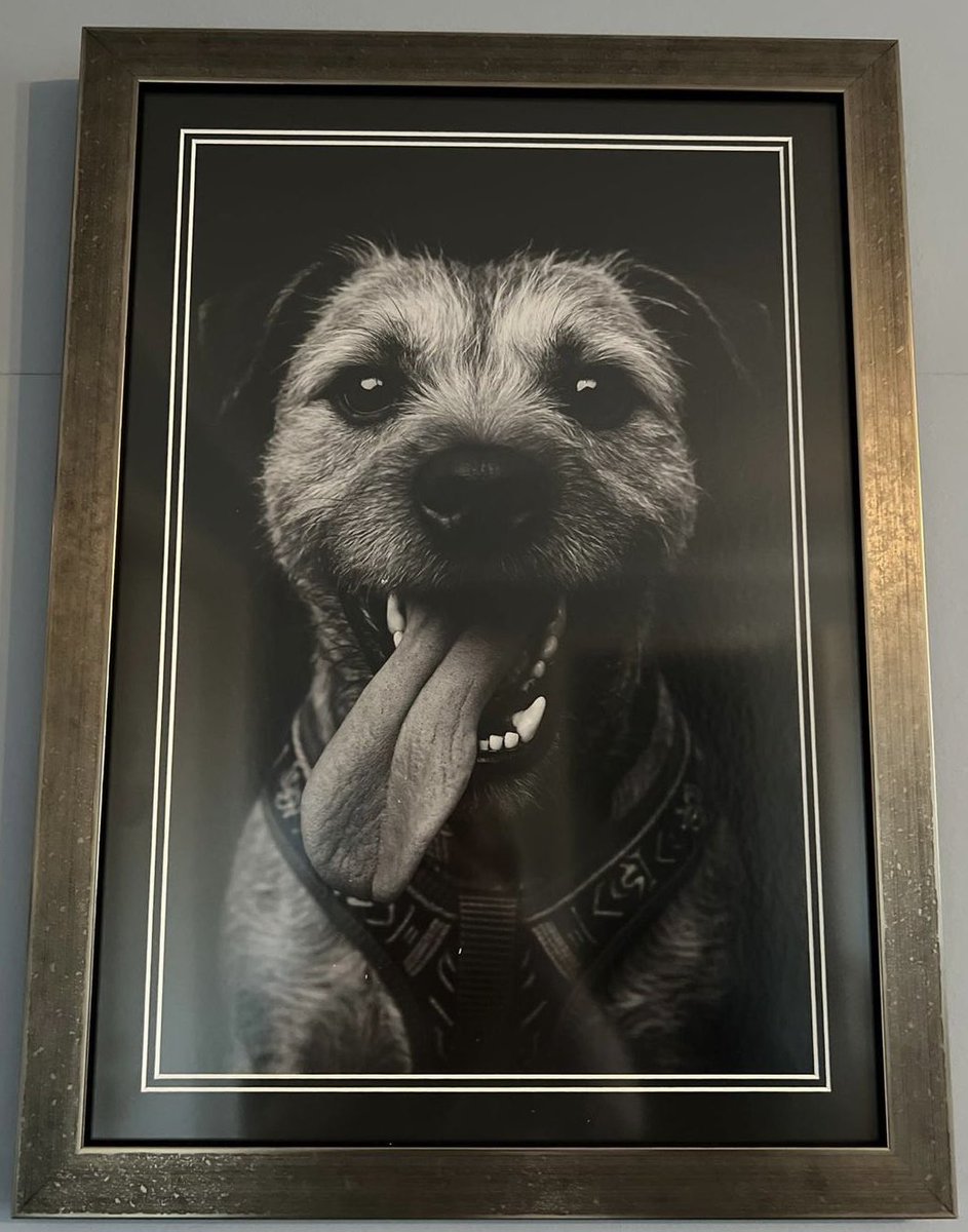 Matrix Frames tweet media