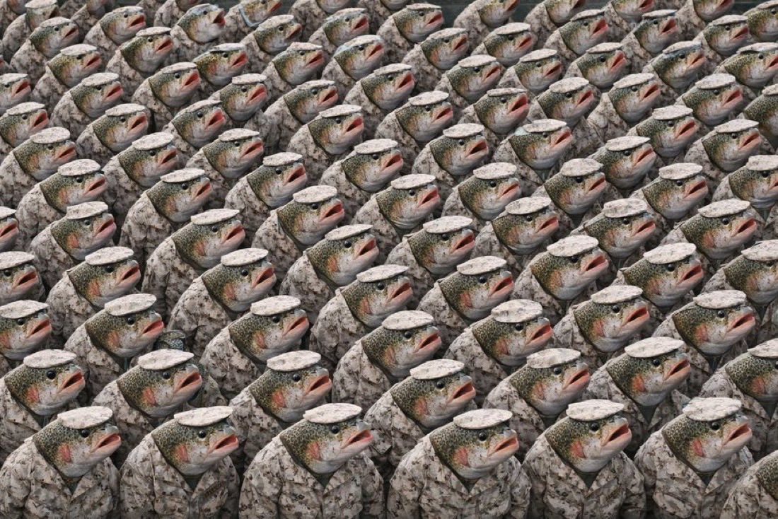 The longer I’m here, the more I’m starting to realise $BigTrout is a cult in the making.

The community is relentless, irrespective of the PA. 

The dev literally told us yesterday he’s going to buy the floor heavy and add it to a treasury wallet. 

These aren’t the signs of