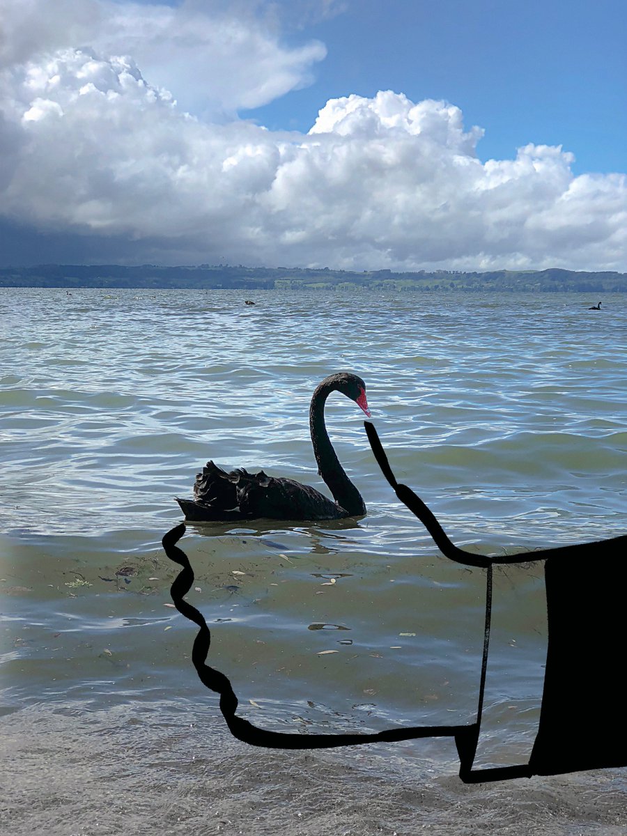 Pictoplasma tweet media