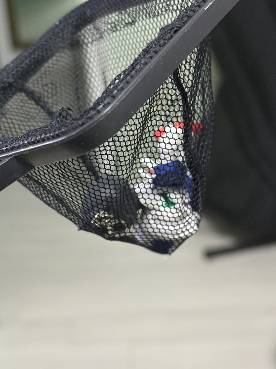 새콤짱 tweet media