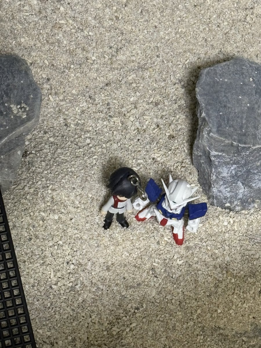 새콤짱 tweet media