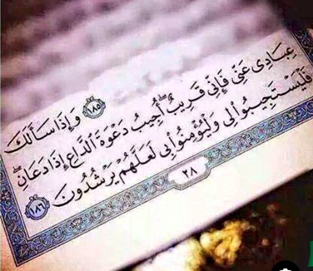 etqan100's tweet photo. @mym_ya_syn سبحان الله العظيم..
حقا القرآن والدعاء  من أعظم الأدوية
للأمراض الجسدية والنفسية👌
ربي يشفينا ويشفي مرضى المسلمين https://t.co/0XyBjBW79e