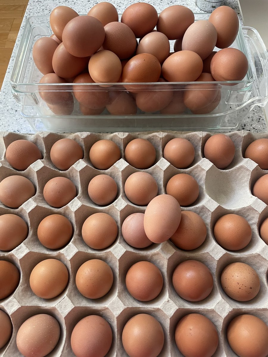 「若鶏の産み始めのたまごは小さくて規格外だから食べて〜」と養鶏場を営む叔母からたくさんもらう。

これは嬉しい。

何作ろうかな〜🎶

＃今日のコーデ
＃エタブルメニーオーダーズ
＃メゾンマーベリック
＃コムデギャルソンガール
＃ニューヨークジョー
＃ドクターマーチン　オックスブラッド