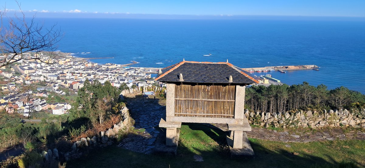 Fundación Imdecum tweet media