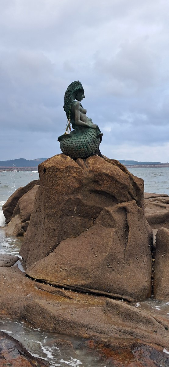 Fundación Imdecum tweet media