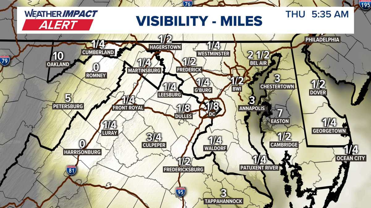 Kaitlyn McGrath tweet media