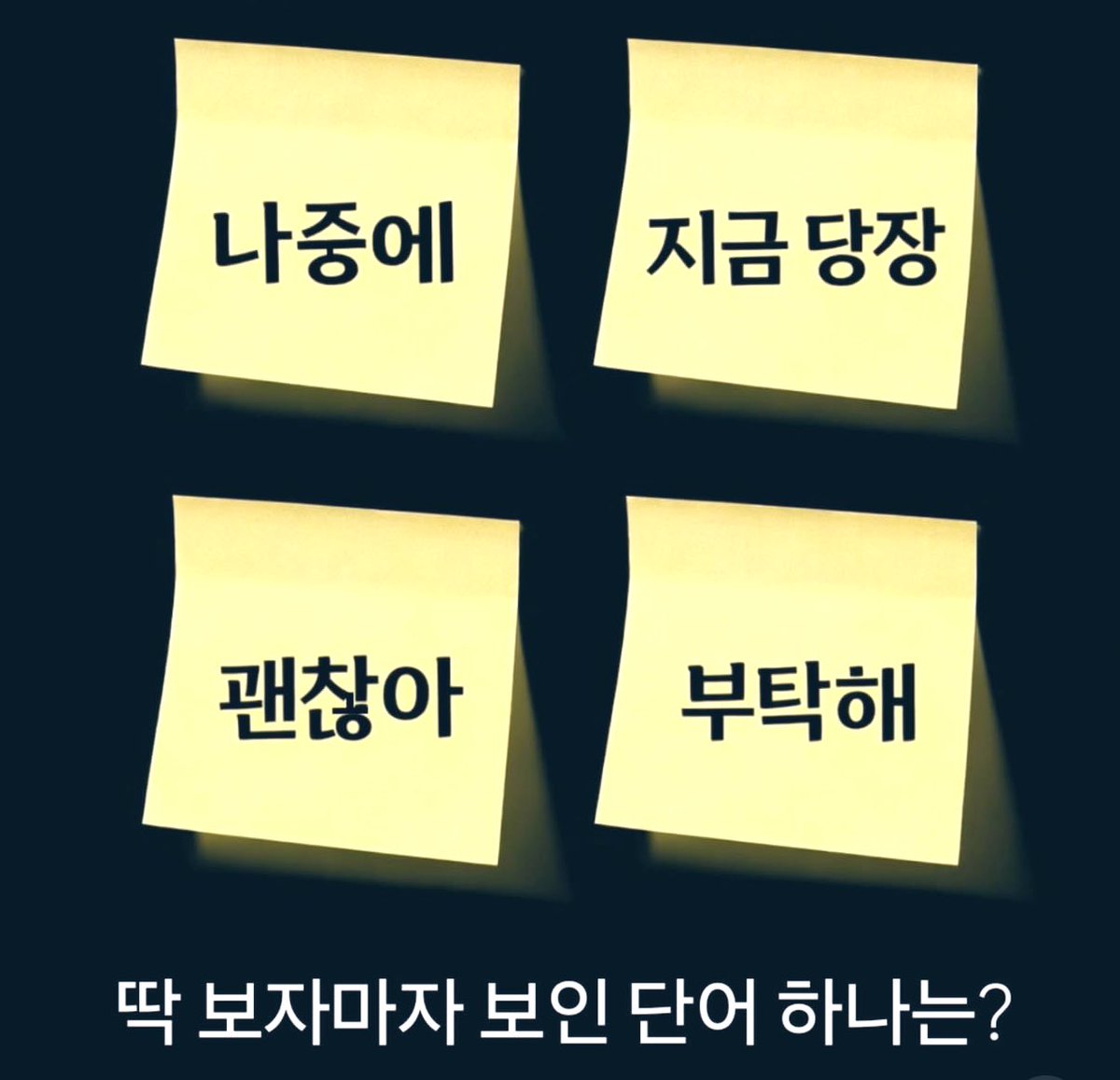 캣츠파파 tweet media