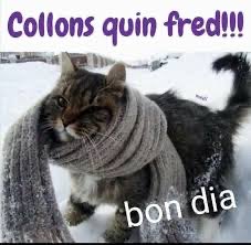 RUB (@pdc1rub) on Twitter photo 