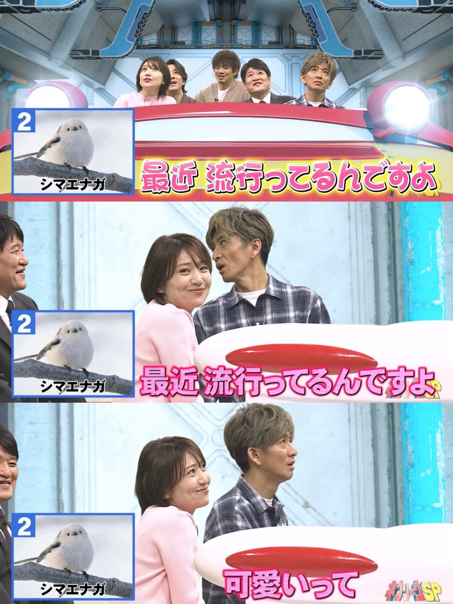 ykrm_7sk's tweet photo. 本っっっっっ当に、天才的に可愛かった大島優子ちゃん😭♡ʾʾ

#大島優子
#ネプリーグ
#教場 https://t.co/PuOtx0zppu