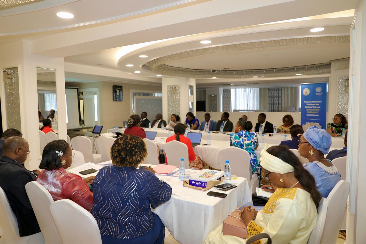 UN_Cameroon tweet media