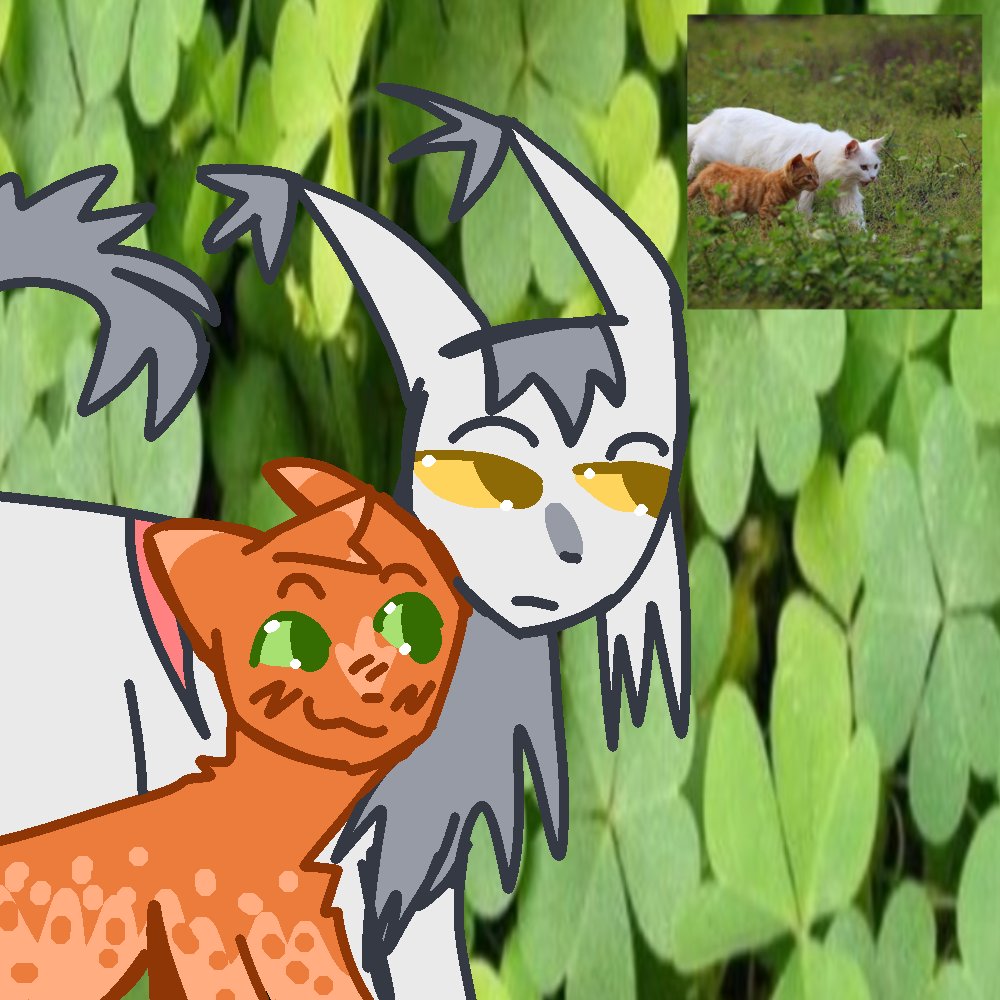 natural_puddle's tweet photo. Whitestorm and Firepaw
Mentor and apprentice, deputy and leader

#whitestorm #fireheart #warriorcats https://t.co/FbZDh3JaIo
