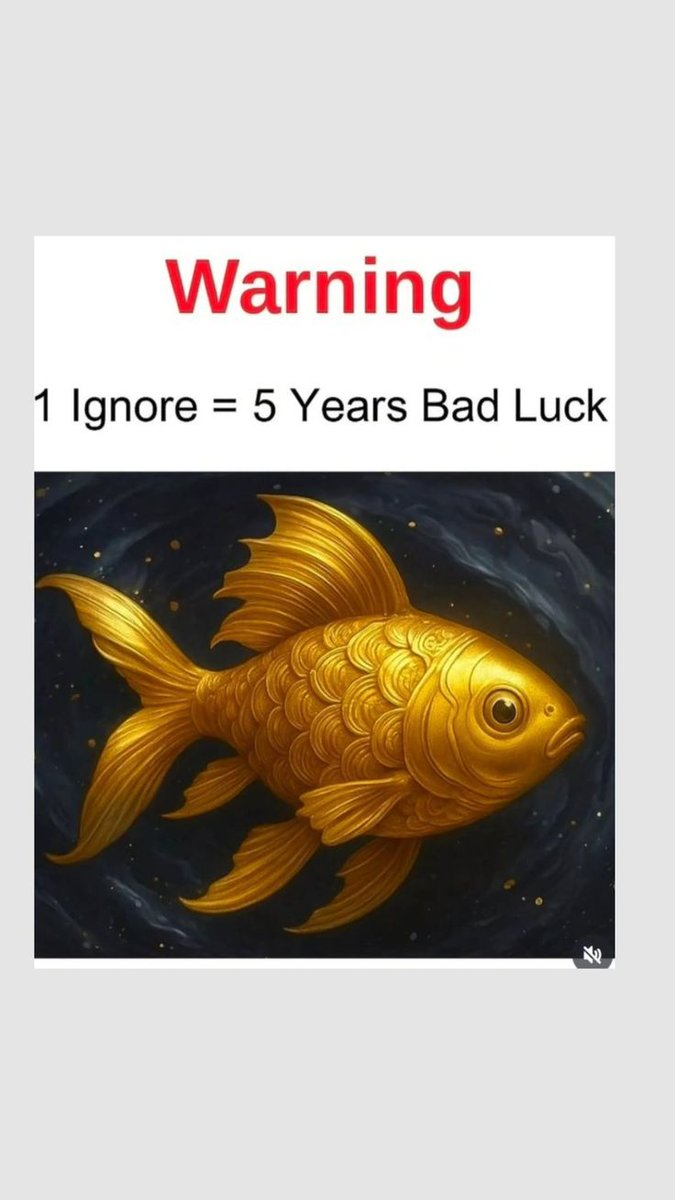 Law_of_attraction tweet media