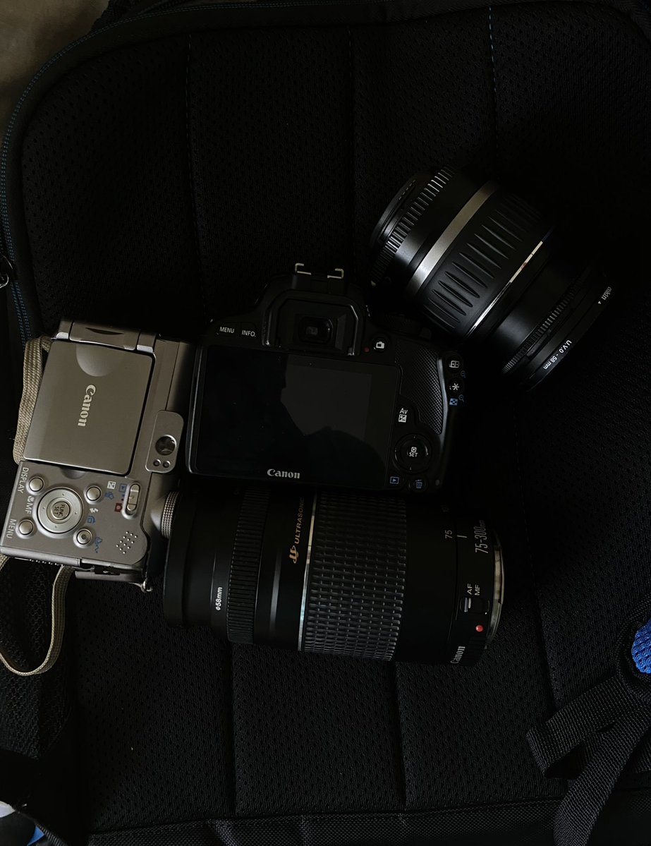 mastermind6 tweet media