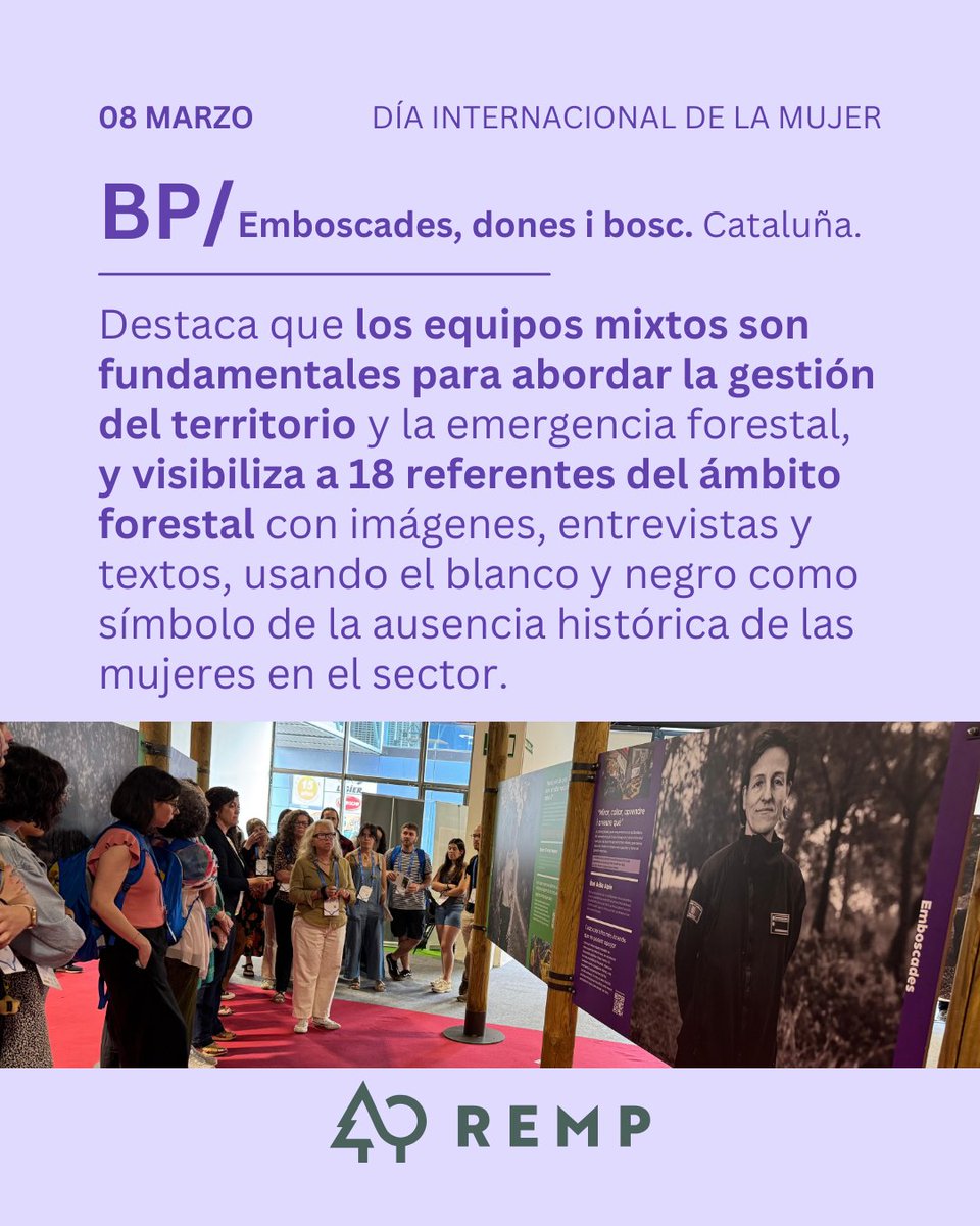 Red Estatal de Montes Públicos (REMP) tweet media