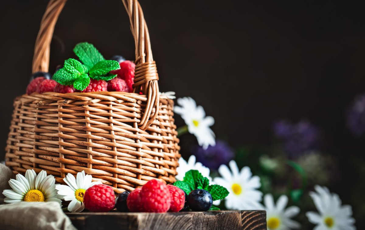 Safe Soil UK tweet media