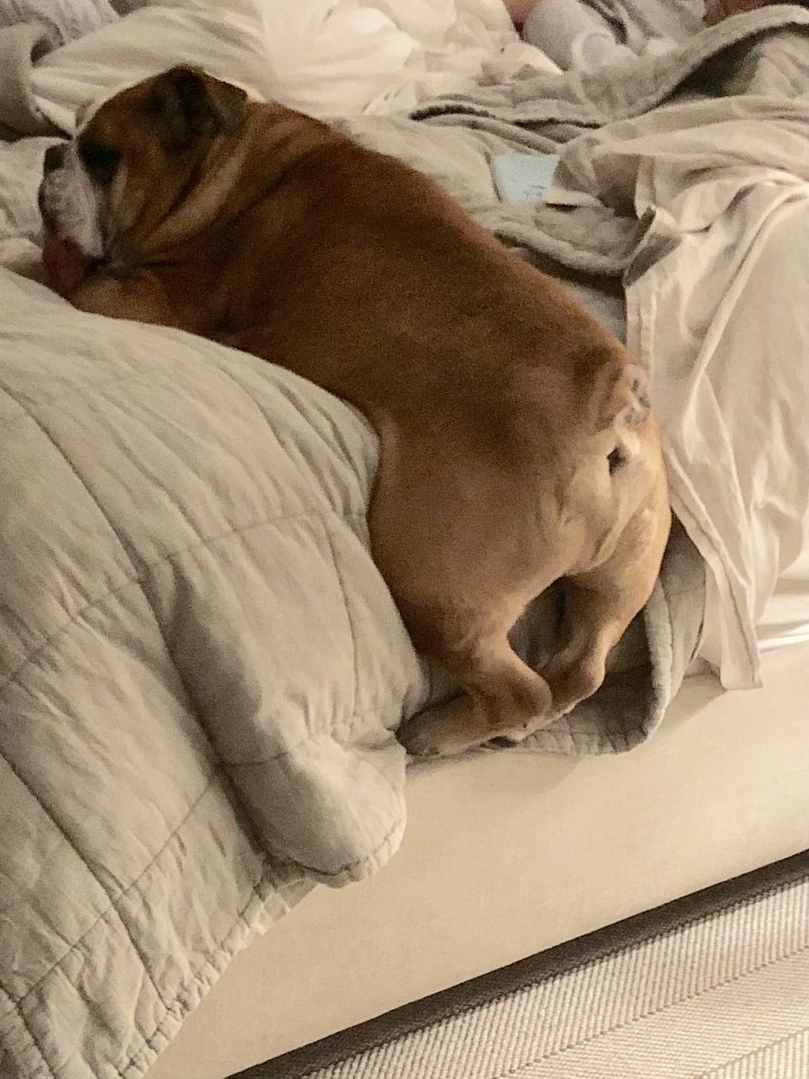 Carmine Sabatini tweet media