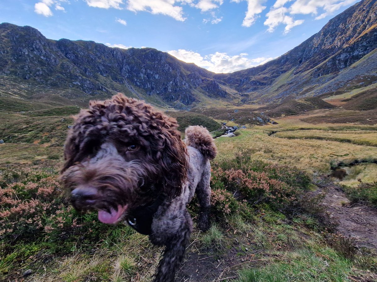 Darren Parkin tweet media