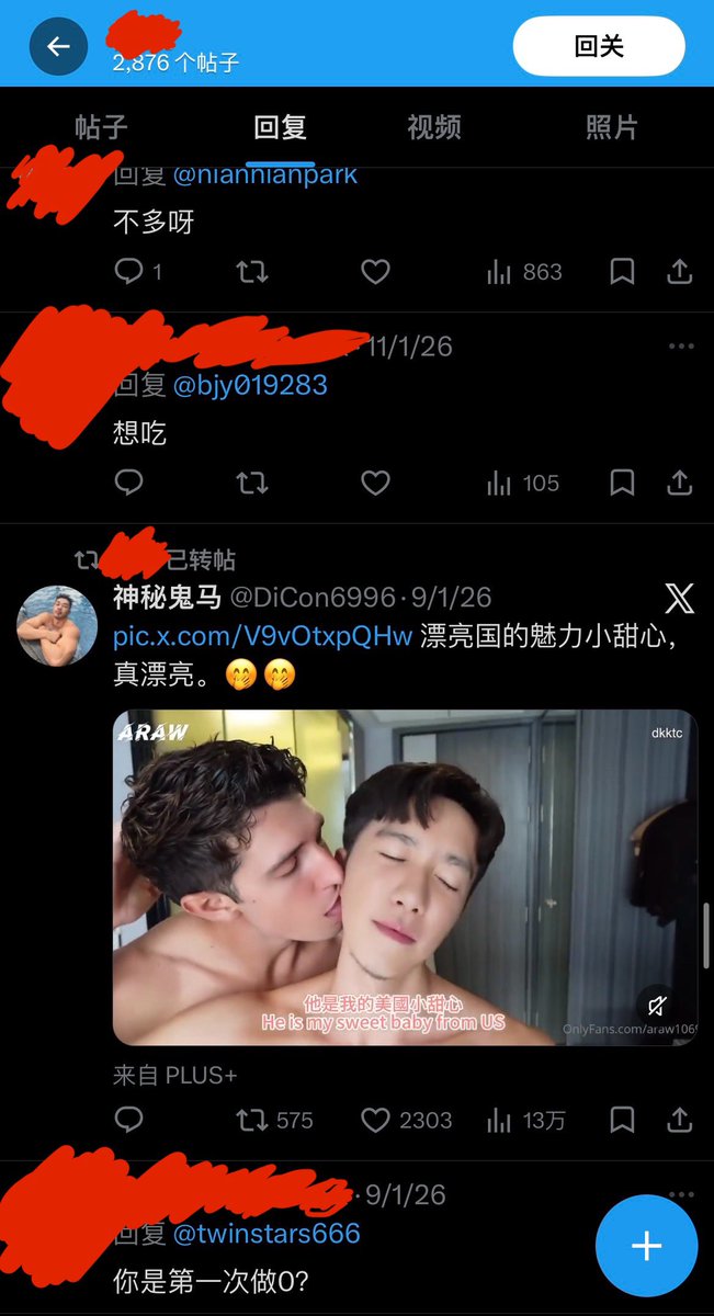 wanna a cat tweet media