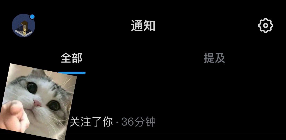 wanna a cat tweet media