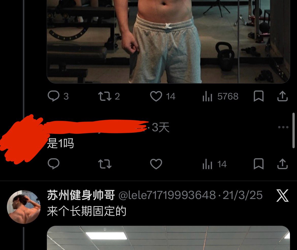 wanna a cat tweet media