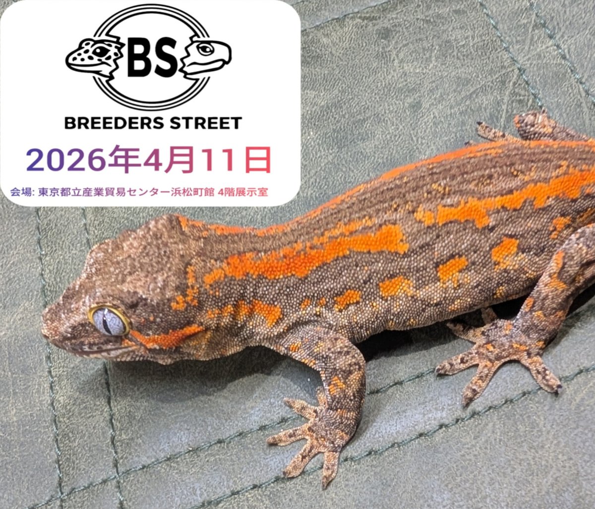 RepFeedJapan co., ltd tweet media