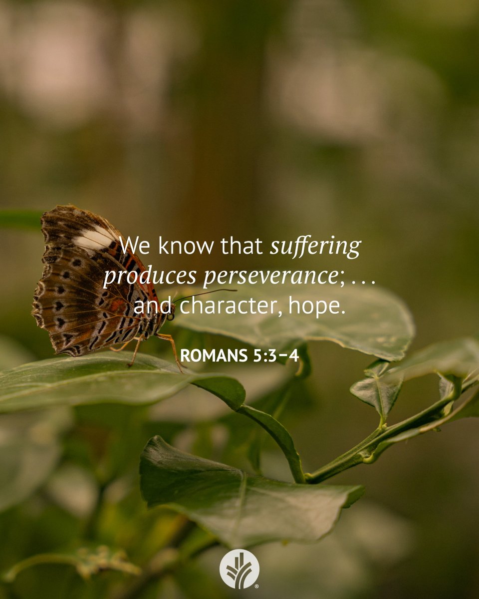 Our Daily Bread tweet media