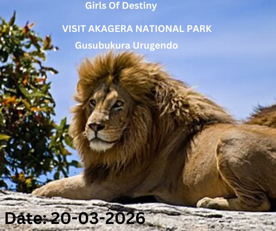 girlsofdestiny0's tweet photo. Gusura urusobe rw'ibinyabuzima biherereye muri Pariki y'Akagera biduha ishusho y'aho iterambere ry’igihugu rigeze, bityo bikaduha imbaraga zo gukomeza kubirinda.
#GirlsTour #GirlsEmpowerment #Akagera #GirlsInspire #GirlsofDestiny #Rema https://t.co/A2IymYOkzV