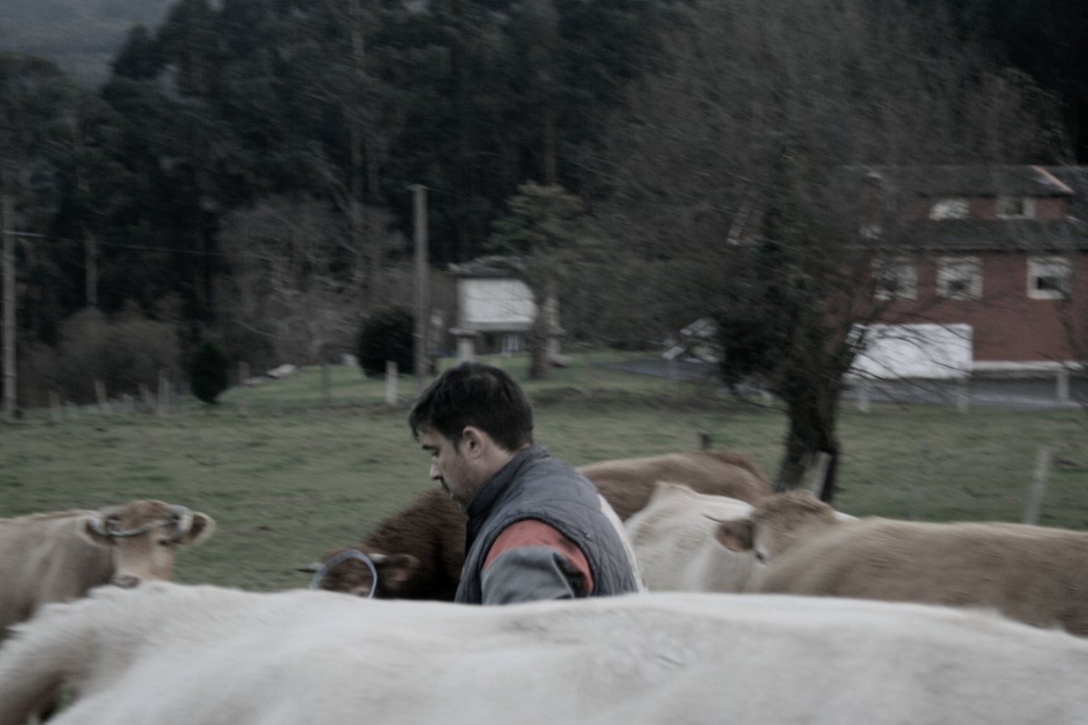 Fundación Imdecum tweet media