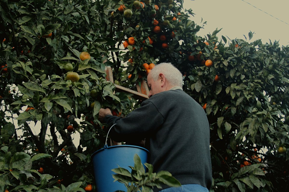 Fundación Imdecum tweet media