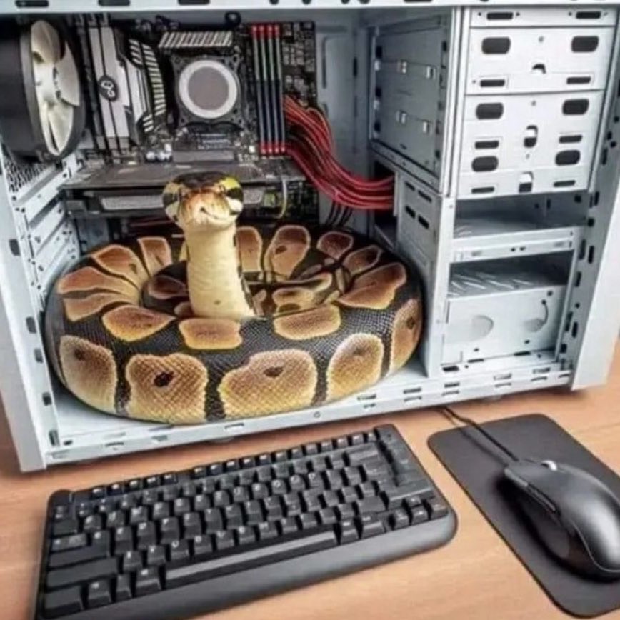 piyush784066's tweet photo. just installed python what's next ? https://t.co/DKqxCzAwqP