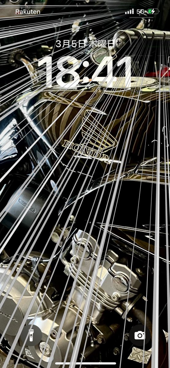 そしてヒヨちゃんは完全体となった