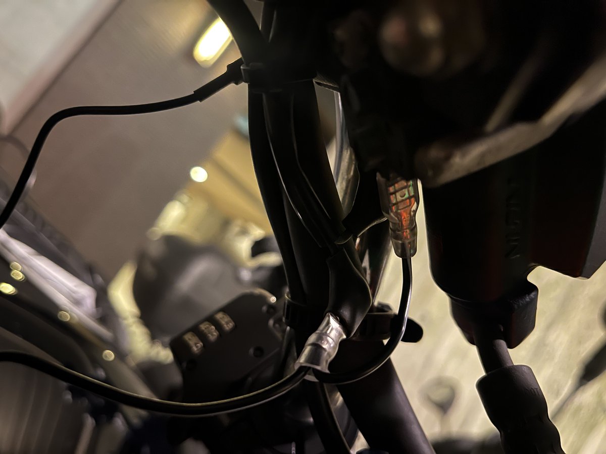 そしてヒヨちゃんは完全体となった