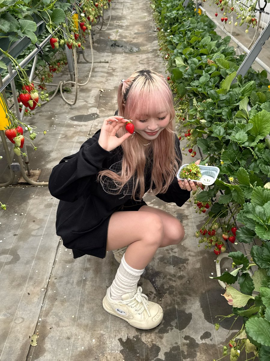 ひいな (@_h_zs3) / Posts / X