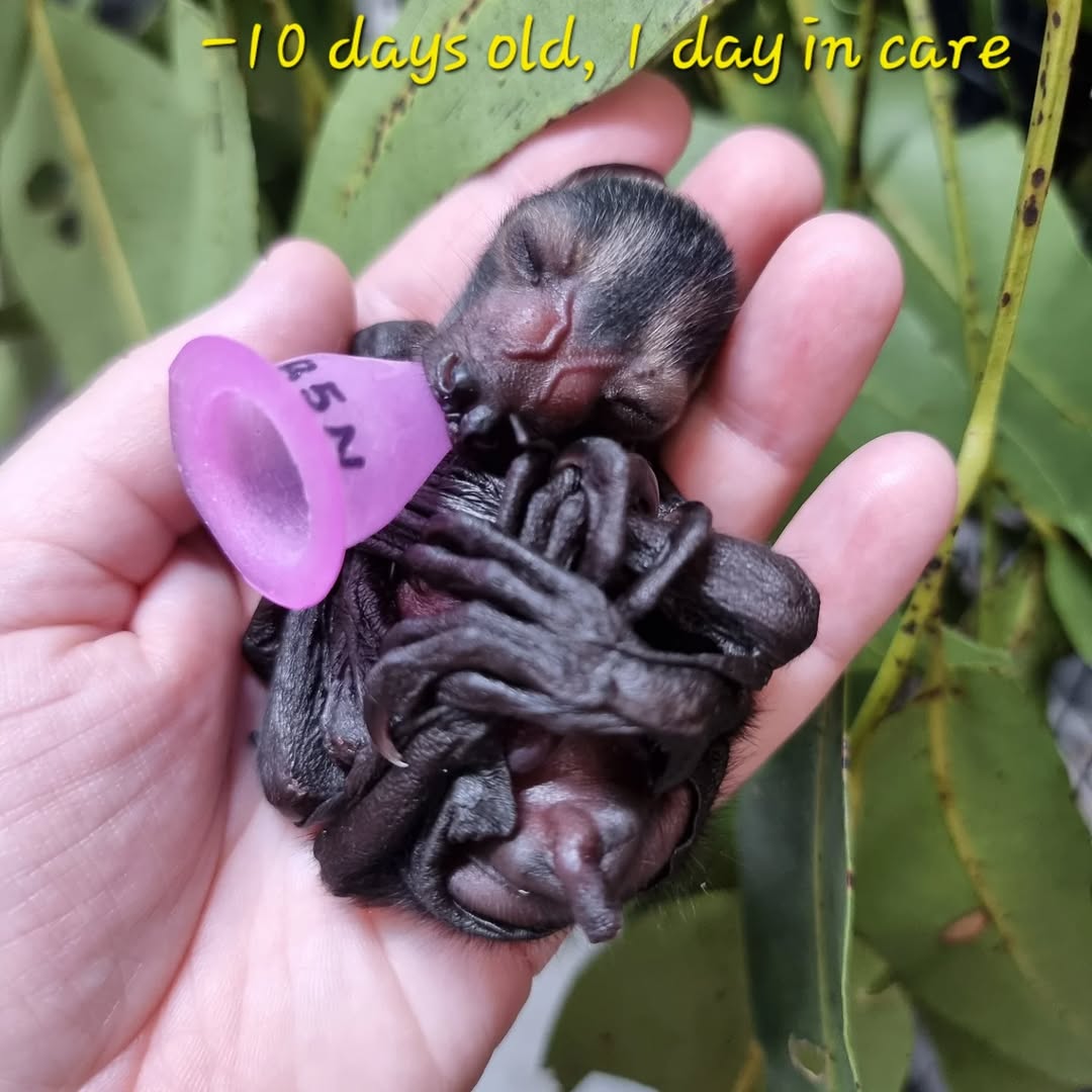 ꒰ა ☆ ໒꒱ tweet media