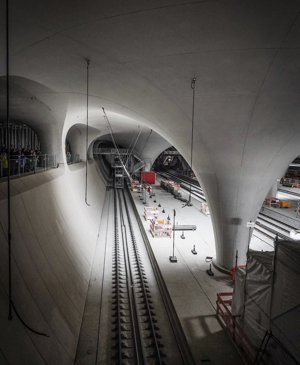 Cerebro®️ tweet media