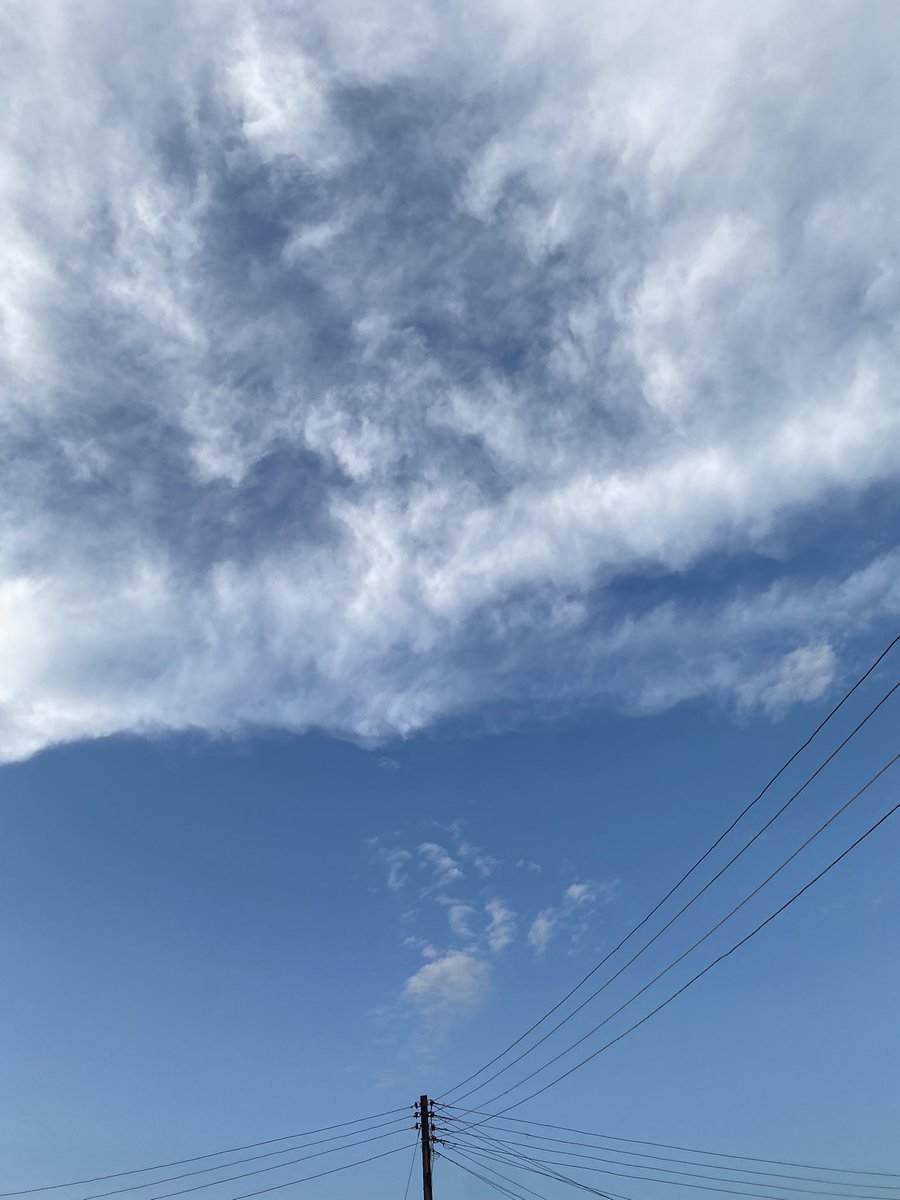 CARYMayor 🐋 🐋 tweet media